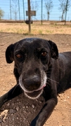 CLEO Imagen 7